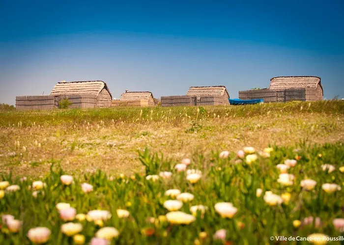 Litchi Canet-en-Roussillon
